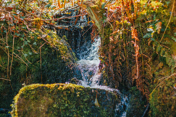 waterfall in the UK forest