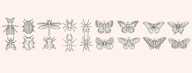Insects outline elements collection. Meadow bugs line isolated set. Different beetles in contour design.