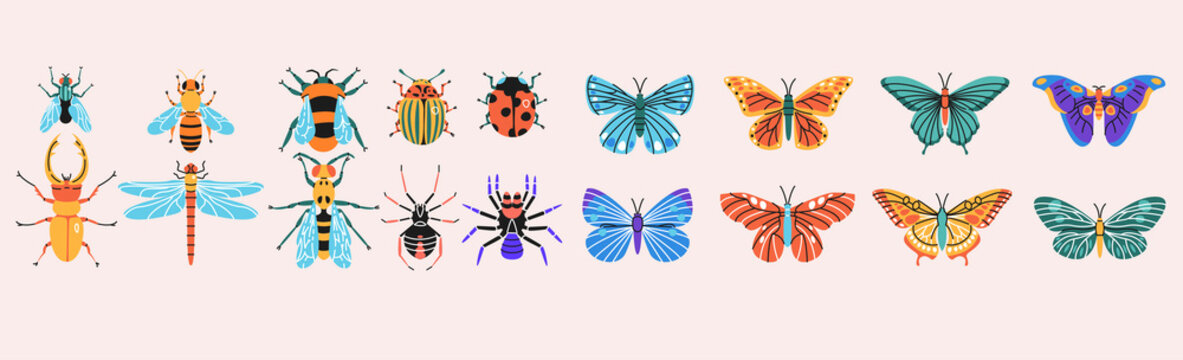 Insects simple elements collection. Meadow bugs and beetles flat isolated set. Different flies in trendy flat design.