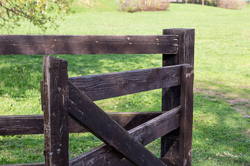 open wooden gate of the cattle paddock on the background of the sunlit meadow