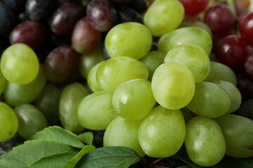 Ripe grape, close up and selective focus