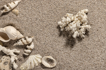 Beach composition with seashells and white sand, copy space. Sea and leisure background.