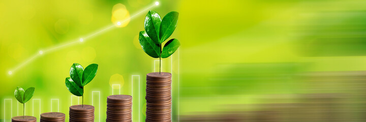 Fototapeta na wymiar Money coin stack with green plant growing and business graph. Business panoramic banner. Saving and growth money business concept.