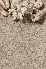Background of clean sand with seashells. Beach texture. Copy space, top view