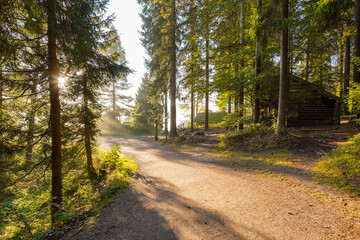Stimmung am See mit Sonnenstrahlen und Nebel