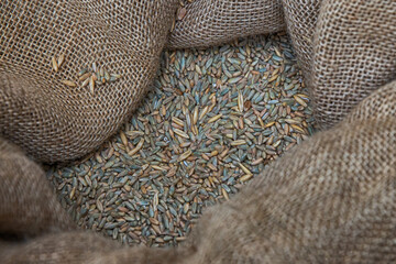 open jute bag with oats close-up among others, horse feed