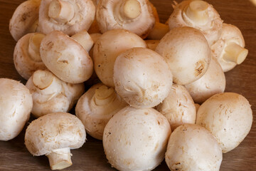 The fresh champignon mushrooms ready for cooking. A top view closeup of fresh mushrooms.