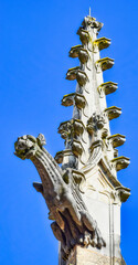 Fototapeta premium Chapitel con gárgola en lo alto de la catedral gótica de Limoges, Francia