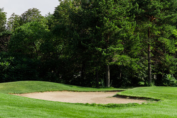 View of Golf Course with picturesque trees.