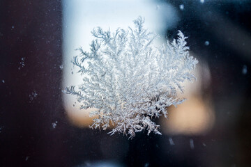 WINTER DRAWING ON GLASS