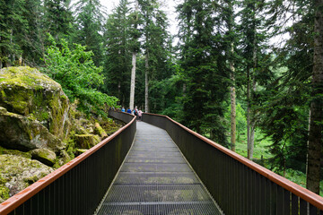 View of the walkway with people in the middle of the forest of the Aran park animal reserve