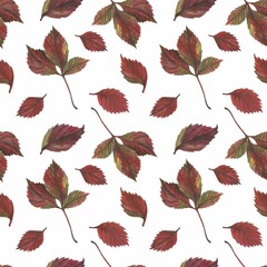 Autumn leaves in watercolor style. A beautiful seamless pattern with various autumn leaves Can be used as a background template for wallpaper, printing on fabrics, typography, paper.