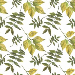 Autumn leaves in watercolor style. A beautiful seamless pattern with various autumn leaves Can be used as a background template for wallpaper, printing on fabrics, typography, paper.