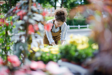 Female florist checking plants at sunny flower shop storefront