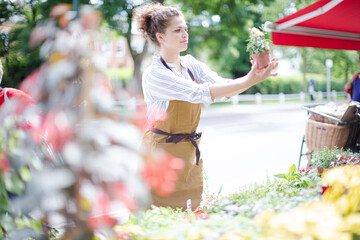 Female florist checking plants at sunny flower shop storefront