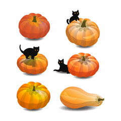 Halloween pumpkins and cats set