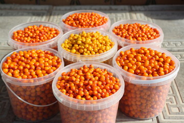 sea buckthorn berries