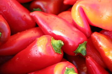 red bell peppers
