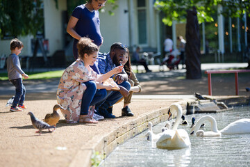 Friends feeding ducks and geese at sunny park pond