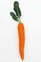 close up of fresh carrot isolated on white background. 