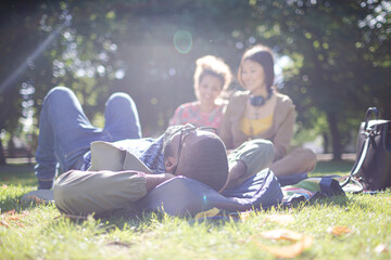 Fototapeta premium Young friends relaxing in sunny summer park