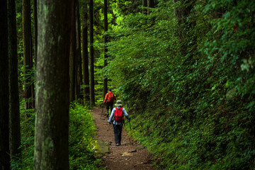 東京・御岳山の登山道を歩く登山客
【Hikers walk along the trail of Mt. Mitake in...