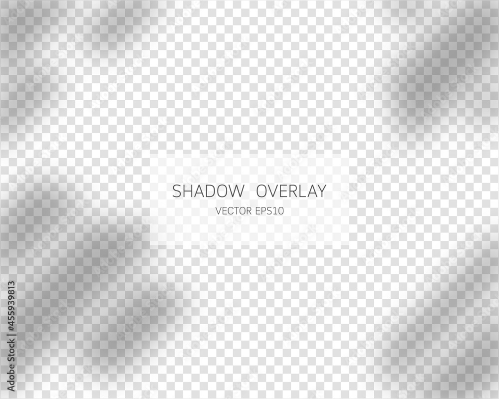 Poster shadow overlay effect. natural shadows from window isolated on transparent background. vector illust