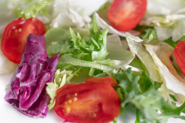 dietary summer vegetable salad with herbs