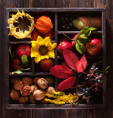 Hello autumn. Autumn composition with flowers and fruits in a wooden box, top view. fall season backdrop