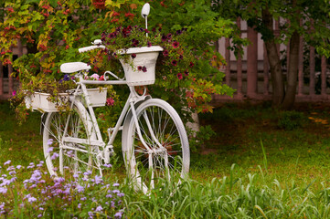 Fototapeta na wymiar The white bicycle in the garden is decorated with flowers. Blurred background.
