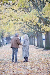Fototapeta premium Affectionate senior couple holding hands, walking among trees and leaves in autumn park