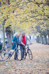 Senior couple walking bicycles among trees and leaves in autumn park