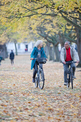 Obraz premium Senior couple bike riding among trees and leaves in autumn park