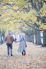 Fototapeta premium Affectionate senior couple holding hands, walking among trees and leaves in autumn park