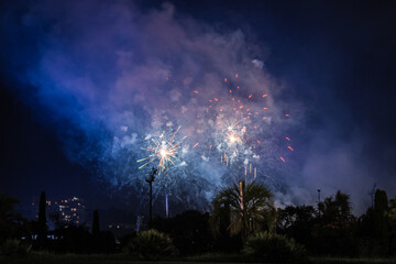 Fototapeta na wymiar fireworks over the city
