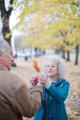 Fototapeta premium Affectionate, curious senior couple holding leaf in autumn park