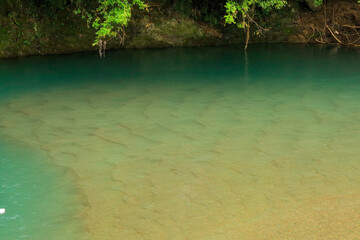 tropical forest lake