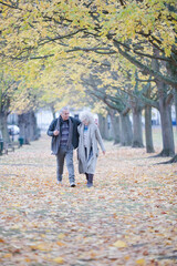 Fototapeta premium Affectionate couple hugging, walking among trees and leaves in autumn park