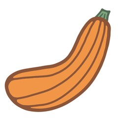 Isolated orange pumpkin illustration on the white background