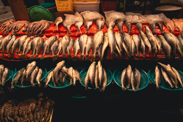 Fish at Bujeon Market in Busan, South Korea - Powered by Adobe
