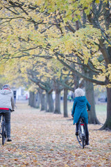 Senior couple bike riding among leaves and trees in autumn park