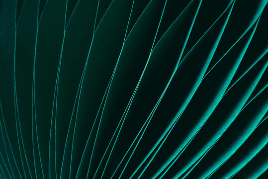 Dark green abstract background, fragment of paper decoration close-up