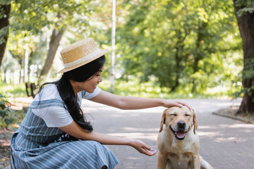 happy asian woman in straw hat stroking pleased dog in park