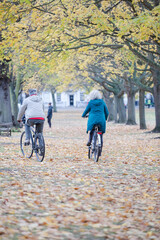 Senior couple bike riding among leaves and trees in autumn park