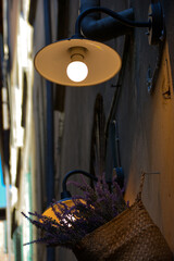 Fototapeta na wymiar Lucca alley