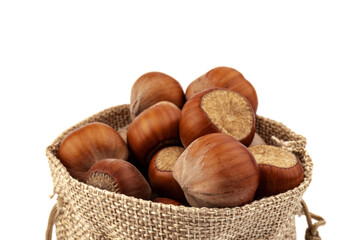 fresh hazelnuts in a canvas bag on white background