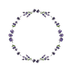 Cute vector round frame template, background with doodle, hand draw flowering lavender branches for nature, aromatherapy design.
- 455953024