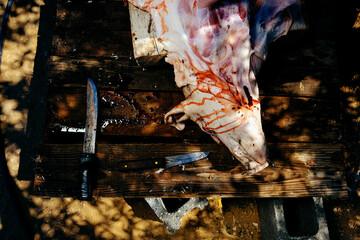 Pig flesh and knives on wooden table at farm