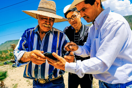 Grandfather sharing smartphone with son and grandson at farm on sunny day