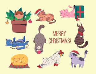 Christmas cats, Merry Christmas illustration of cute cats with accessories like a knited hat, sweater
